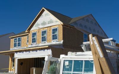 Building Momentum