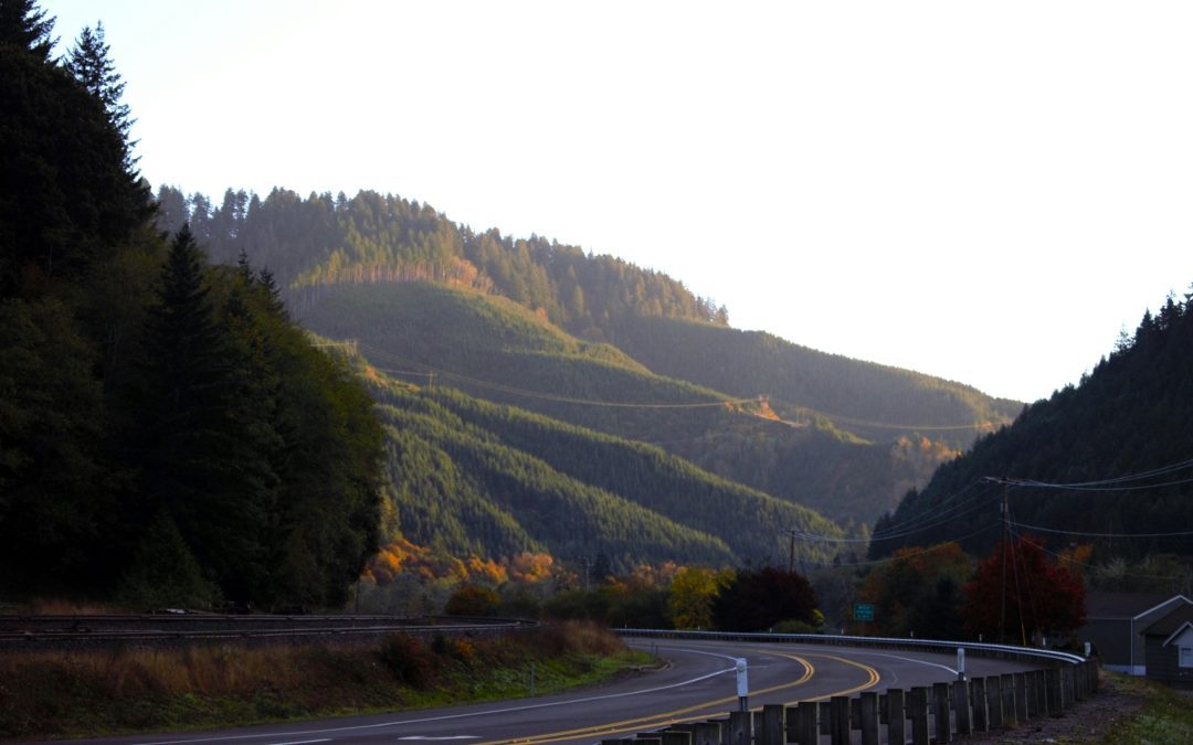 Why We’re Here—and Where We’re Going